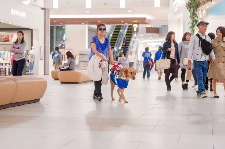 イオンモール沖縄ライカム 03