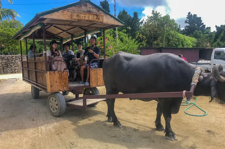 水牛車観光 02