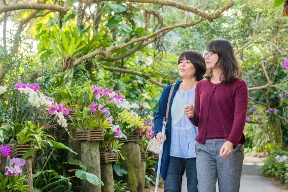 南国気分ゆったり旅