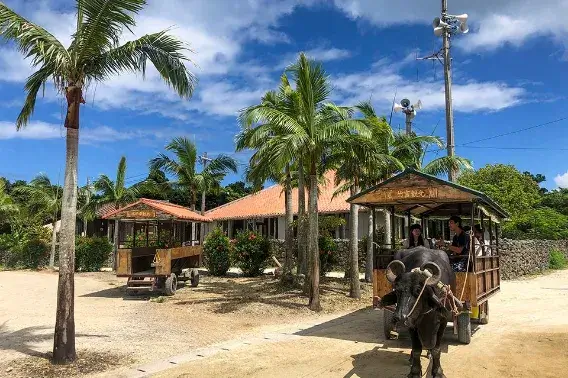 本島・離島 どっちも楽しむ旅