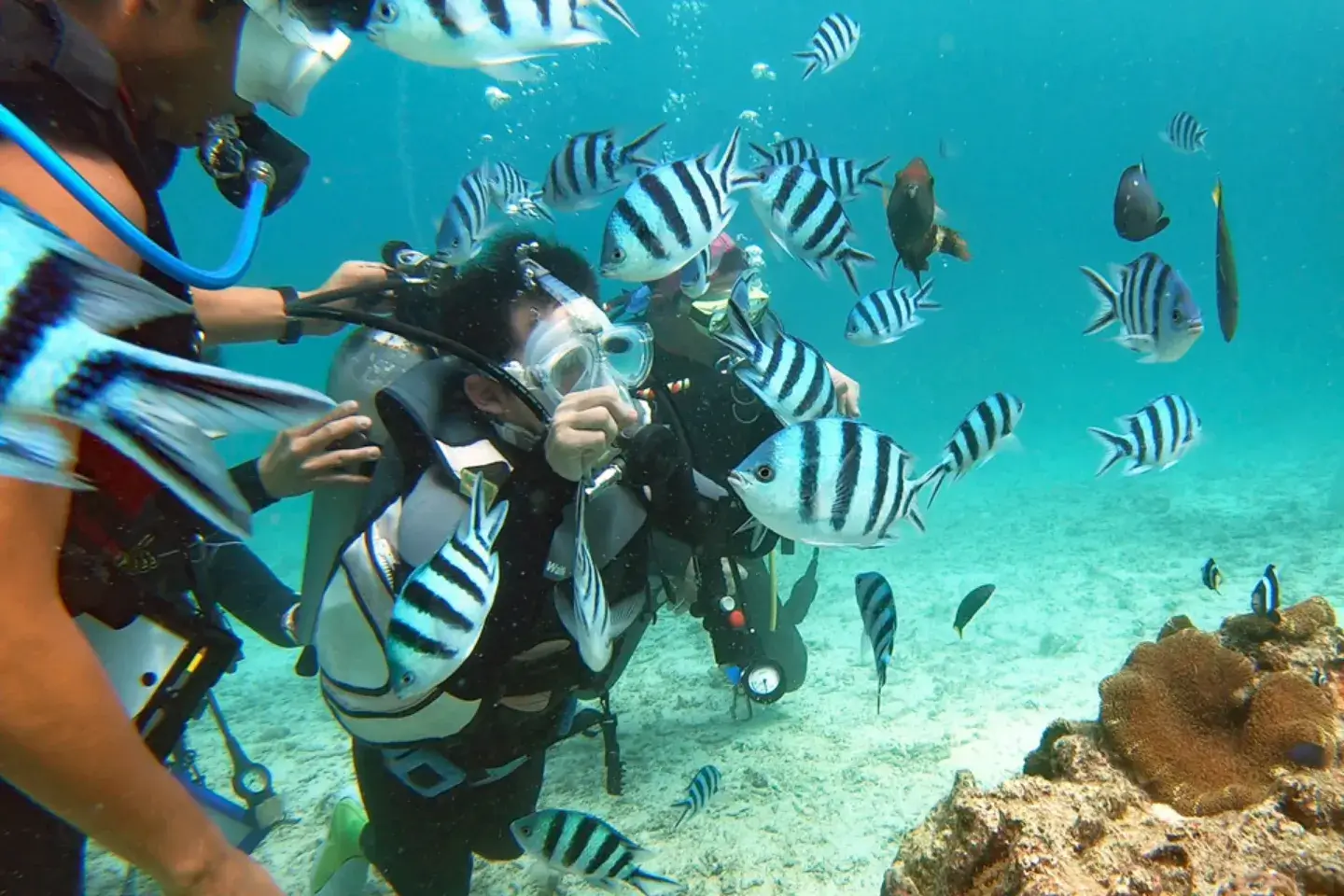 移動・交通機関等の情報