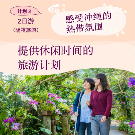 2 日游（隔夜旅游）感受冲绳的热带氛围 提供休闲时间的旅游计划